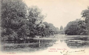 België - ANTWERPEN - Etang du Parc - Uitg. Albert Sugg Série 24 N. 353 - Picture 1 of 2