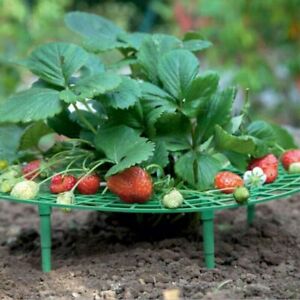 Plant tools Strawberry Planting Frame Stand Holder Balcony Rack Garden Support
