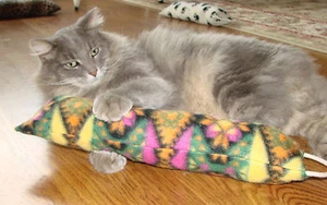 Big 15 inch Catnip Roll Cat Toy, Organic Wild Grown Catnip - Picture 1 of 9