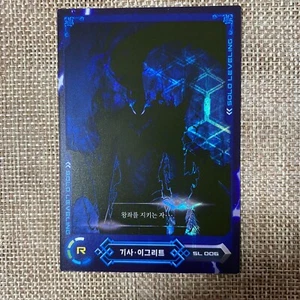 Solo Leveling SL 006 / Tarjeta Holo R Rara / Tarjeta Coleccionable Webtoon Coreana / Regalo - Imagen 1 de 6