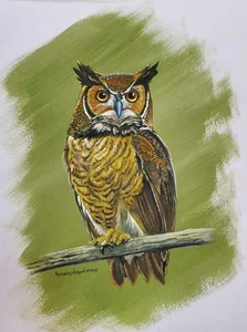 Great Horned Owl - Picture 1 of 1