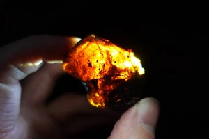 Bloc grosse AMBRE NOIR pierre brute naturelle XL 14g USA lithotherapie reiki - Picture 1 of 7