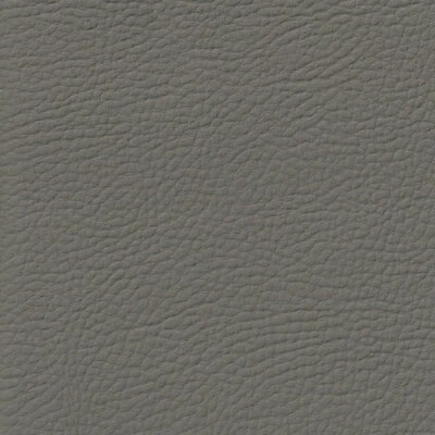 Heavy Duty Automotive Interior Vinyl Upholstery Car Fabric 54 Inches Wide - Image 1 of 4