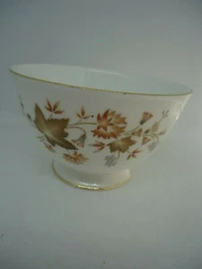 Zuccheriera Colclough Avon design foglia marrone osso Cina vintage inglese - Foto 1 di 5