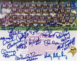 Autographed 1973 Minnesota Vikings 19 sigs, Eller, Tingelhoff, Yary 8x10 Photo - Picture 1 of 1