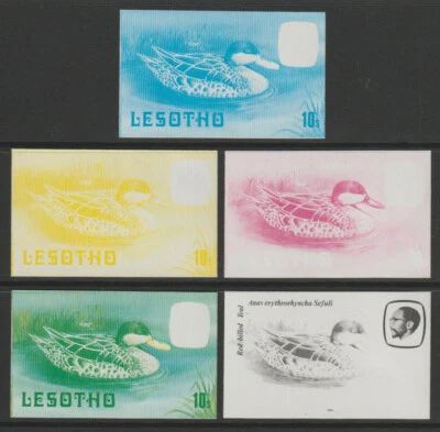 4273-LESOTHO 1981 - ПТИЦЫ - БИРЮЗОВЫЙ набор oof 5 IMPERF ПРОГРЕССИВНЫЕ ЦВЕТОВЫЕ ДОКАЗАТЕЛЬСТВА mnh - Изображение 1 из 2