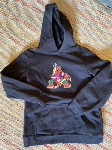 Official NHL Arizona Coyotes Sweatshirt Hoodie Vintage Original Kachina Logo Cover