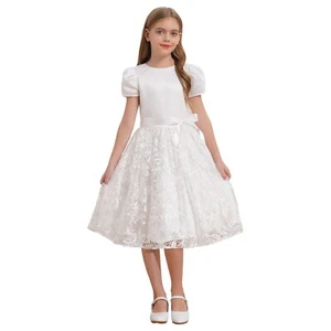 Girls Dress Lace Gown Tulle Princess Communion Prom Photography Party A Line - Picture 1 of 22