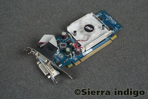 GH84WDSN1E24Y PNY GeForce 8400 GS DDR2 256MB PCI-E VGA DVI S-Video - Picture 1 of 1