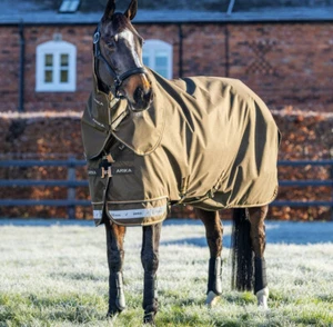LeMieux Arika Ripstop 200g Mediumweight Med Turnout Rug + Hood Alpine 4'9"-7'3" - Picture 1 of 2