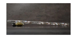 Hall Crystal Flute 11902 - Inline Glass Flute in F - Carolina - Picture 1 of 5