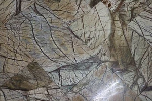 Piso de remodelación de piedra natural Rainforest Brown 12x24 azulejos 180 pies cuadrados T-100 - Imagen 1 de 9