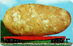 Idaho Postcard The ID Potato We'll Grow Them Bigger Exaggeration Giant Potato - Picture 1 of 2