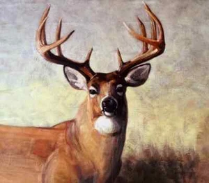 Penny Rose Fabrics, Majestic Outdoors, cotton fabric panel, deer - Picture 1 of 1