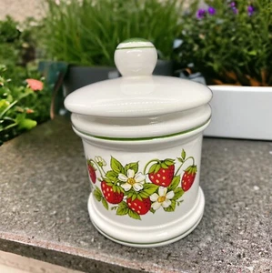 Vintage Sears Strawberry Fields Canister 6” With Lid Made in Japan - Picture 1 of 5