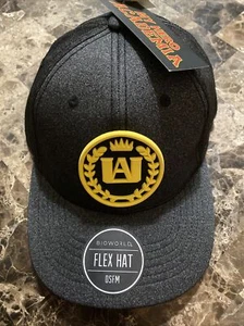 My Hero Academia UA Anime Go Beyond Plus Ultra Gray Stretch Baseball Cap Hat - Picture 1 of 6