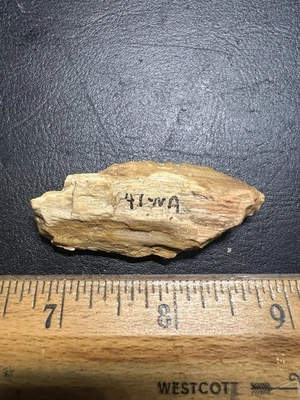 Nacogdoches Co. Punta de flecha de madera petrificada india arcaica de The Wolf Fam. Coll. Foto 1 de 4