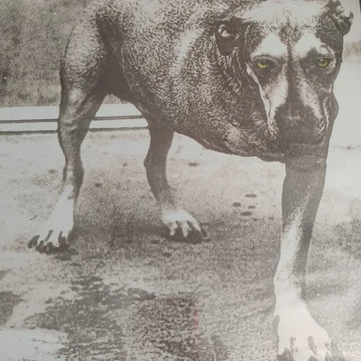 ALICE IN CHAINS - 2 LP WHITE COLORED VINYL RECORD -SELF TITLED - UK REISSUE   - Image 1 of 4