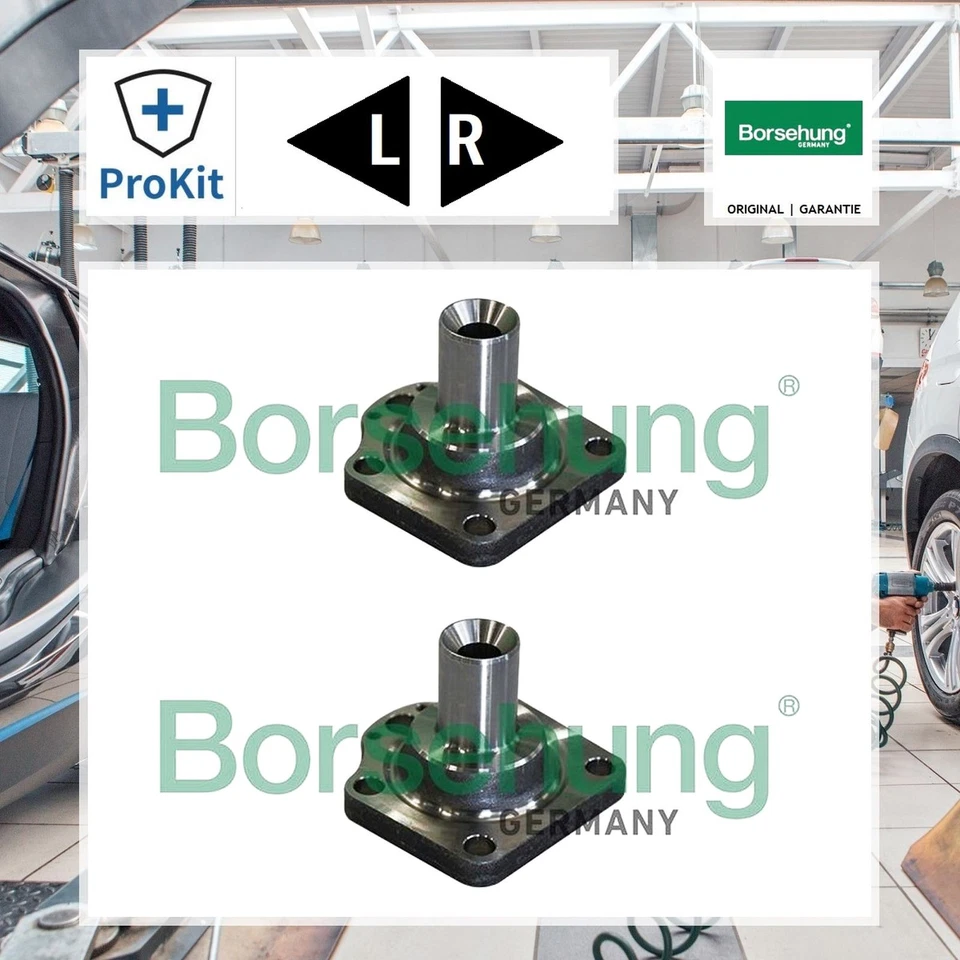 Borsehung B11291 Radnabe