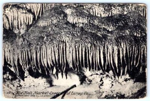 1908 FISH MARKET LURAY CAVERNS JD STRICKLER POSTAL WINCHESTER MATASELLOS - Imagen 1 de 2