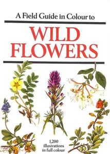 Feldführer Wildblumen von Aichele, Dietmar - Bild 1 von 1