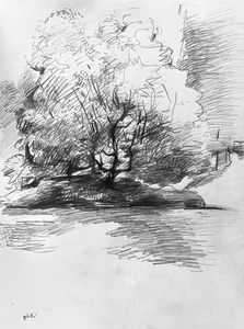 Plein Air Tree Landscape Gothic Realism Graphite Drawing 9x12 Paper Original - Picture 1 of 1