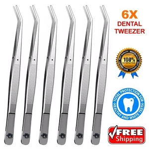 6X Dental College Tweezers Dressing Cotton Forcep Pliers Dentist Instrument Tool - Picture 1 of 2
