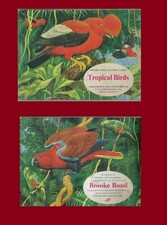  Tropical Birds  -BROOKE BOND TEA CARD  - COMPLETE SET 1961