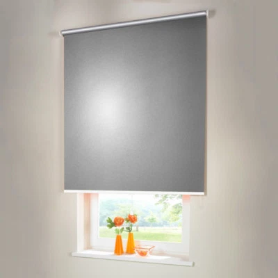 Verdunkelungsrollo Thermo Mittelzug Springrollo Rollo - Höhe 220 cm silber-grau - Bild 1 von 3