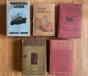 Lot of 5 Vintage Antique Hardcover Books, Freckles, Strive & Succeed,  1904-1934 - Imagen 1 de 21