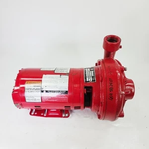Bell & Gossett 2.5″ Booster Pump, 0.25 HP Motor, Cast Iron Inline - Picture 1 of 6