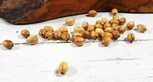 Olive wood beads 1000pz 6x9mm 0.24x0.35 inch" for rosaries or olive necklaces a - Picture 1 of 5