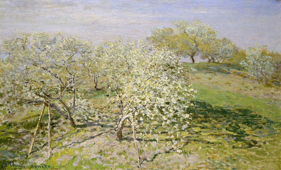 Spring - Fruit Trees in Bloom by Claude Monet 75cm x 45.2cm Canvas Print - image 1 of 1
