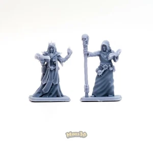 Necromancer - HQ - Minis3D - Imagen 1 de 10