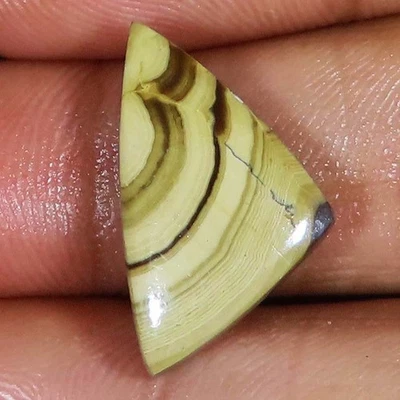 (13X22X04 MM) 15,45 Karat. NATÜRLICHE SPHALERIT FORM CABOCHON LOCKERER EDELSTEIN - Bild 1 von 4