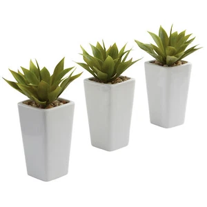 Mini Agave Planter Set Of 3 White Realistic Natural Decor - Picture 1 of 4