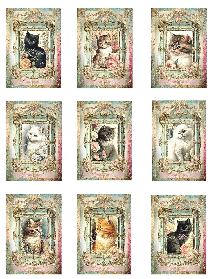 JUEGO MULTITALLA de bloques de edredón de tela de algodón vintage de diseño Cats B Foto 1 de 1