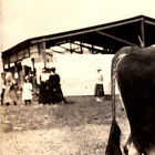 Vintage OOAK RPPC Postcard Bull Horns Women Dresses Children County Fair AZO