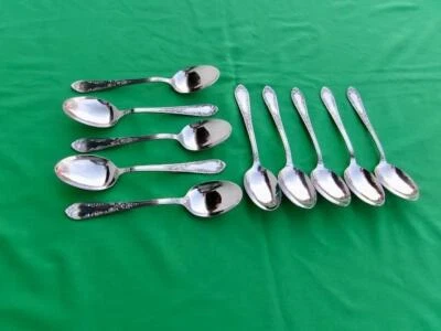 AMEFA ACERO INOXIDABLE HOLANDA (10)* AFS1 HOJA SATINADA ROLLO* LRG. CUCHARAS PARA SERVIR Foto 1 de 4