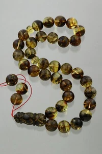 Islamic 33 Round Shape Prayer Beads Genuine BALTIC AMBER TASBIH 103.2g 220224-2 - Picture 1 of 7