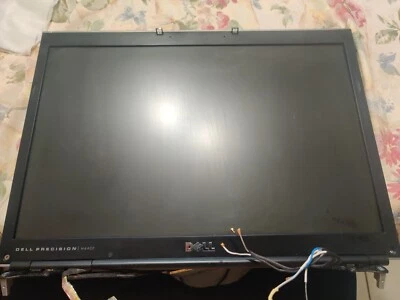 Panel LCD genuino Dell Precision M6400 17" 30 pines CCFL B170PW06 probado arañazos Foto 1 de 2