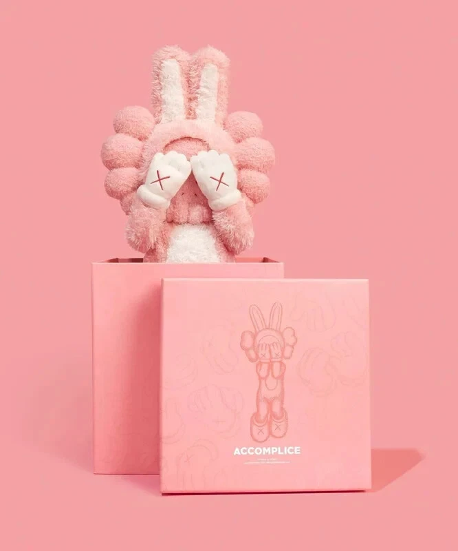 Peluche Kaws Accomplish 2023 edición limitada de 2000 Foto 1 de 1
