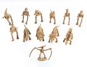 12pcs Dinosaur Toys Fossil Skeleton Simulation Model Action Figure Toy Gift f - Picture 1 of 10
