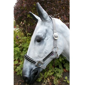 Halfter Strass, Busse Halfter mit Strasssteinen, silber, Gr. Pony, Fehler 4 - Bild 1 von 2