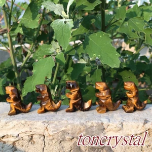 5 Stck. Natürliches Tigerauge Dinosaurier Geschnitzt Quarz Kristall Schädel Reiki Heilung - Bild 1 von 11