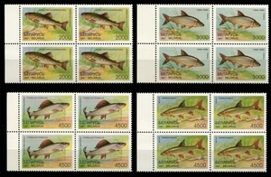 Belarus 1997 • Mi# 217-20 Sс# 204-7 • river and lake fish • cs bl. 4 • MNH ussr - Picture 1 of 1