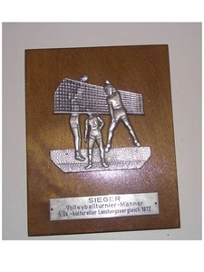DDR Auszeichnung Volleyball SIEGER Volleyballturnier 1972  Ehrengeschenk - Bild 1 von 1