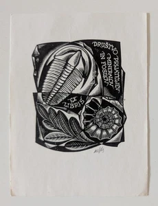 DRUSTVO PRIJATELJEV MINERALOV IN FOSILOV - Ex Libris - Picture 1 of 2