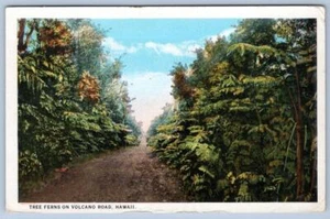 TREE HELECHOS 1920 en VOLCANO ROAD HAWAII MOSES STATIONERY CO POSTAL - Imagen 1 de 2