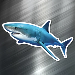 (1) ONE GREAT WHITE SHARK Calcomanía Adhesiva Coche Navegación Barco Playa Océano Peces Buceo - Imagen 1 de 4